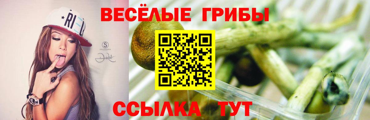 Галлюциногенные грибы мицелий  Вход с VPN  Елабуга  Псилоцибиновые грибы Psilocybine cubensis 